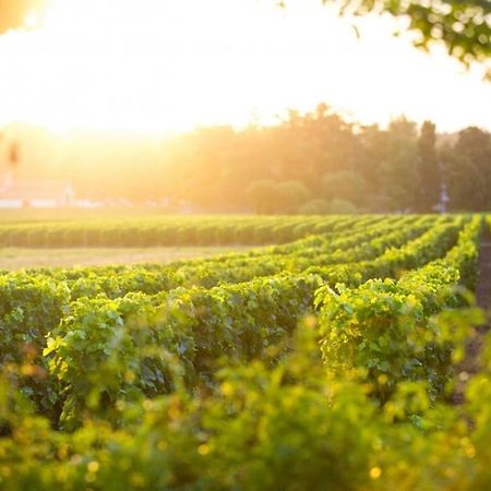 La Cle Des Vignes Villa Saint-Medard-d'Eyrans Ngoại thất bức ảnh